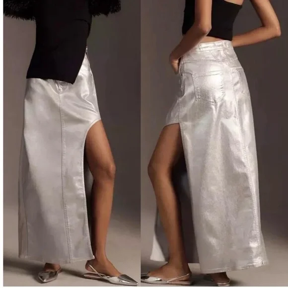 Anthropologie Silver Maxi Skirt - Picture 3 of 7